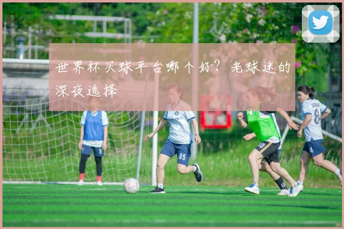世界杯买球平台哪个好？老球迷的深夜选择