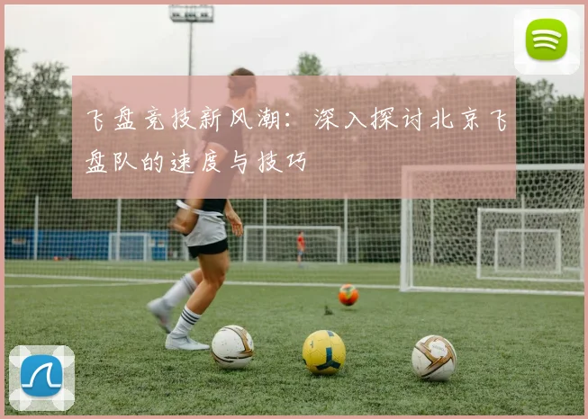 飞盘竞技新风潮：深入探讨北京飞盘队的速度与技巧