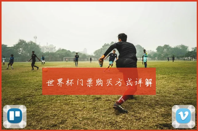 世界杯门票购买方式详解