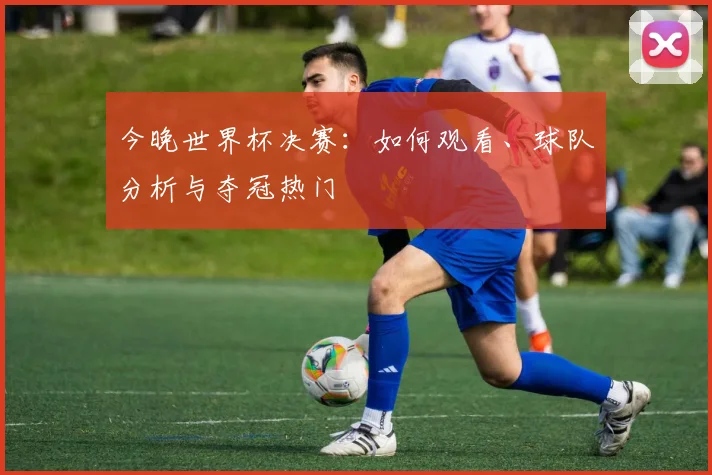 今晚世界杯决赛:如何观看、球队分析与夺冠热门