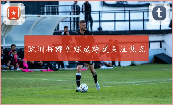 欧洲杯哪买球成球迷关注焦点