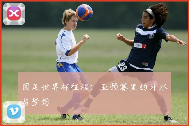 国足世界杯征程：亚预赛里的汗水与梦想