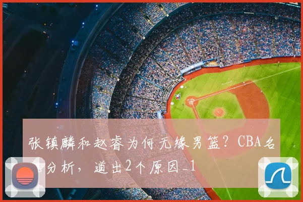 张镇麟和赵睿为何无缘男篮？CBA名记分析，道出2个原因_1