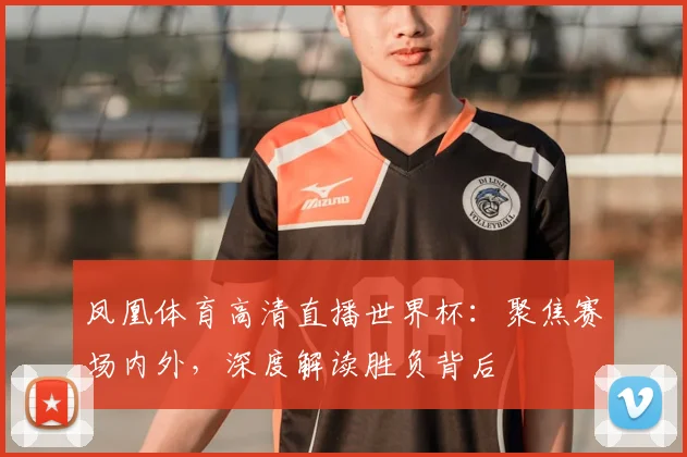 凤凰体育高清直播世界杯:聚焦赛场内外,深度解读胜负背后