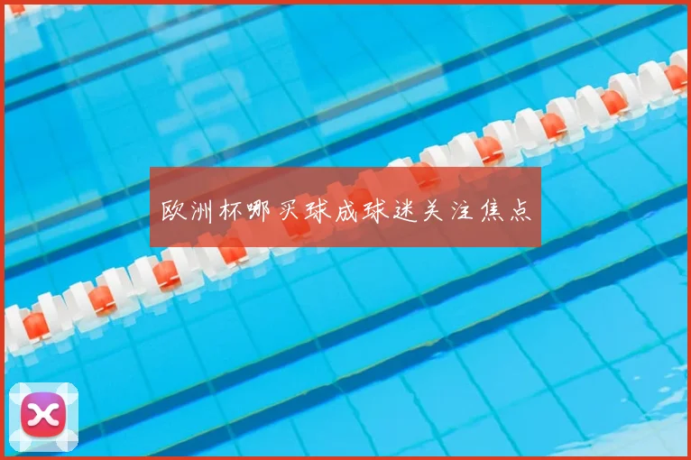 欧洲杯哪买球成球迷关注焦点
