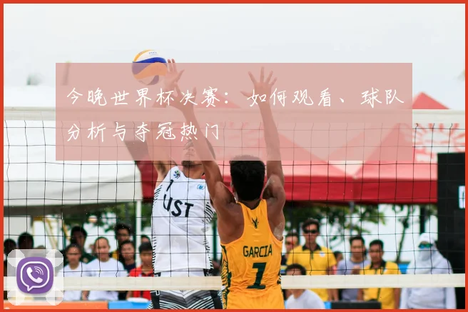 今晚世界杯决赛:如何观看、球队分析与夺冠热门
