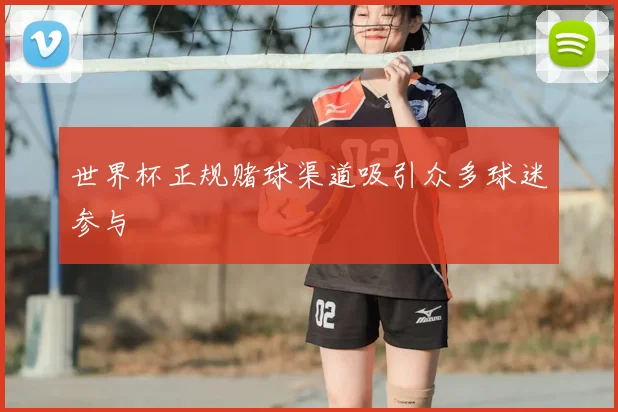 世界杯正规赌球渠道吸引众多球迷参与