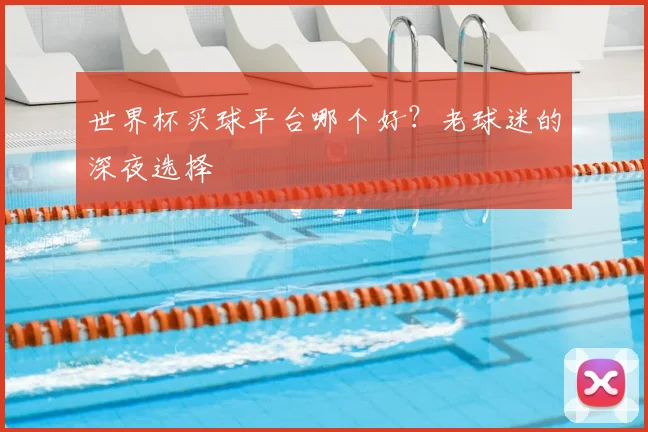 世界杯买球平台哪个好？老球迷的深夜选择