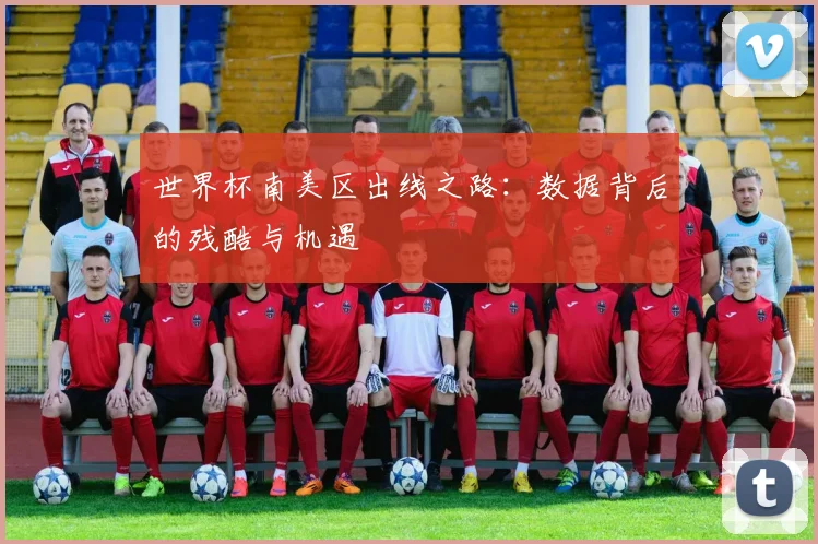 世界杯南美区出线之路:数据背后的残酷与机遇