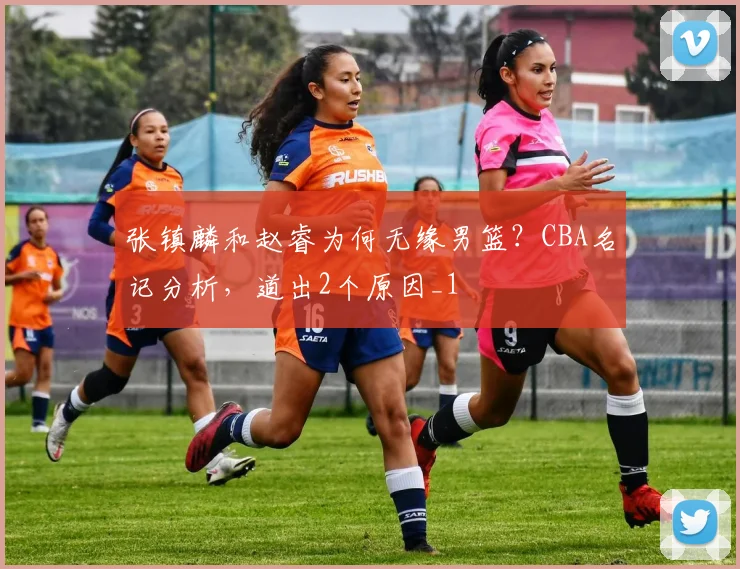 张镇麟和赵睿为何无缘男篮？CBA名记分析，道出2个原因_1