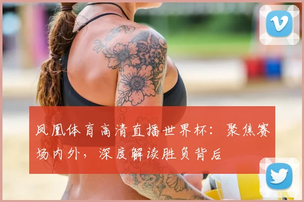 凤凰体育高清直播世界杯:聚焦赛场内外,深度解读胜负背后