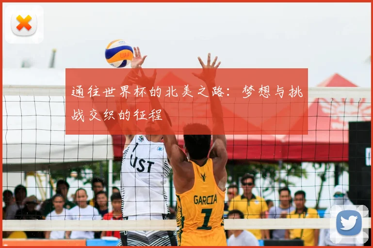 通往世界杯的北美之路:梦想与挑战交织的征程