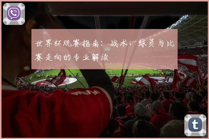 世界杯观赛指南：战术、球员与比赛走向的专业解读