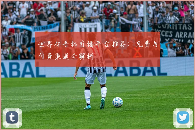 世界杯手机直播平台推荐:免费与付费渠道全解析
